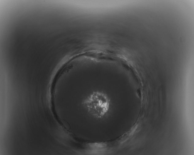 X0000089760102200706281651