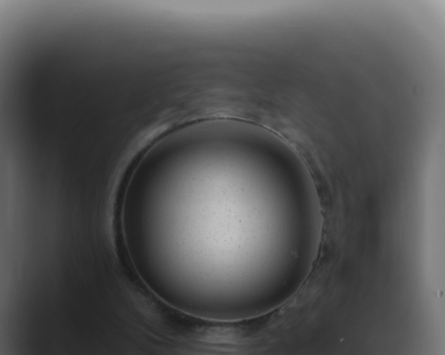 X0000089760104200706281651