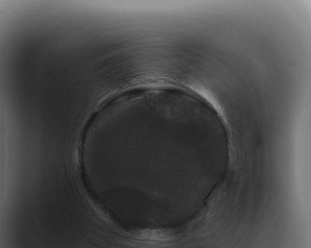 X0000089760105200706281651