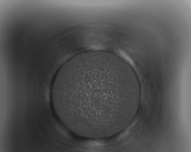 X0000089760106200706281651