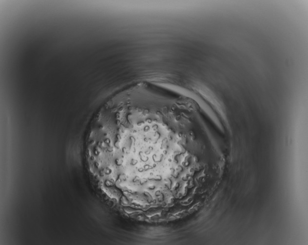 X0000089760107200706281651