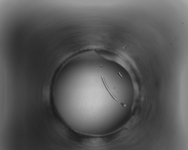 X0000089760108200706281651