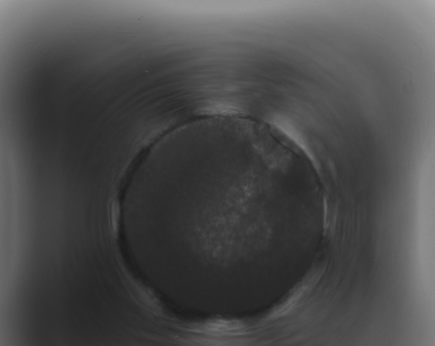 X0000089760109200706281651