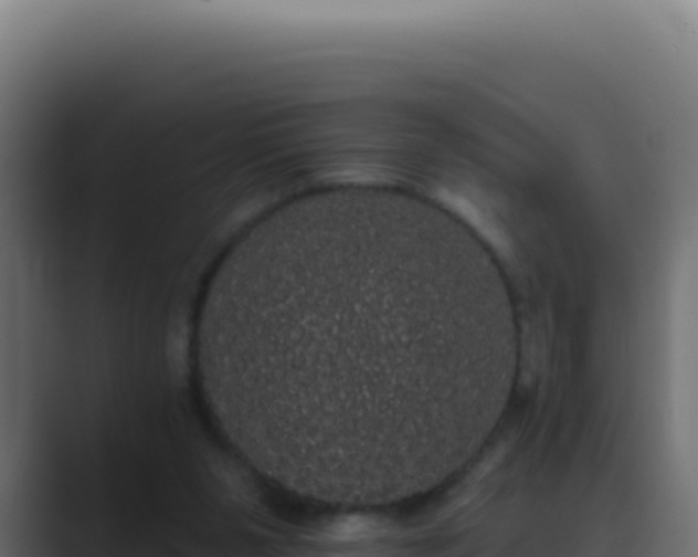 X0000089760111200706281651