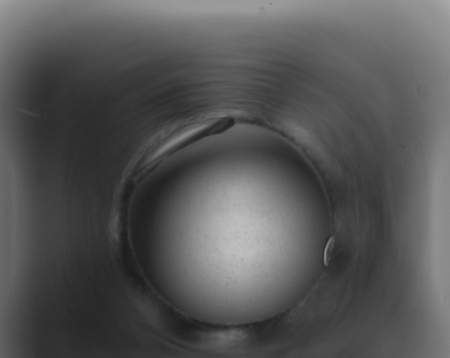 X0000089760112200706281651