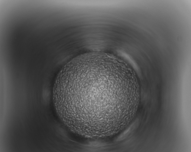 X0000089760113200706281651