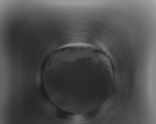 X0000089760114200706281651