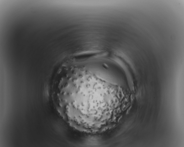 X0000089760115200706281651