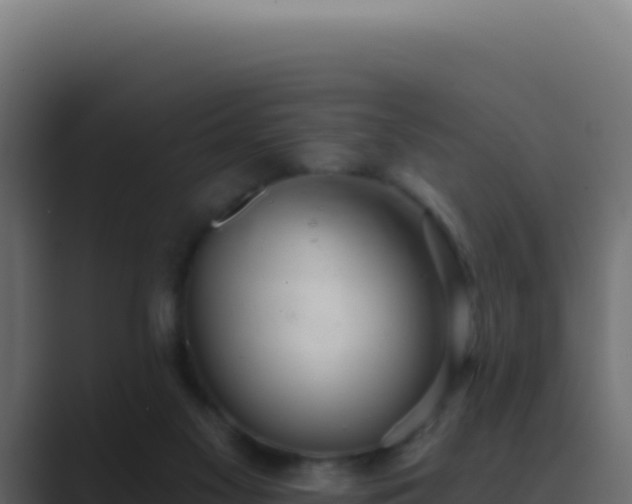 X0000089760117200706281651