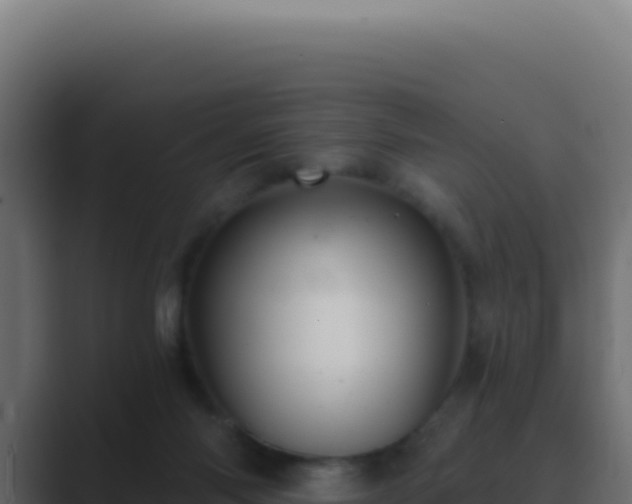 X0000089760118200706281651