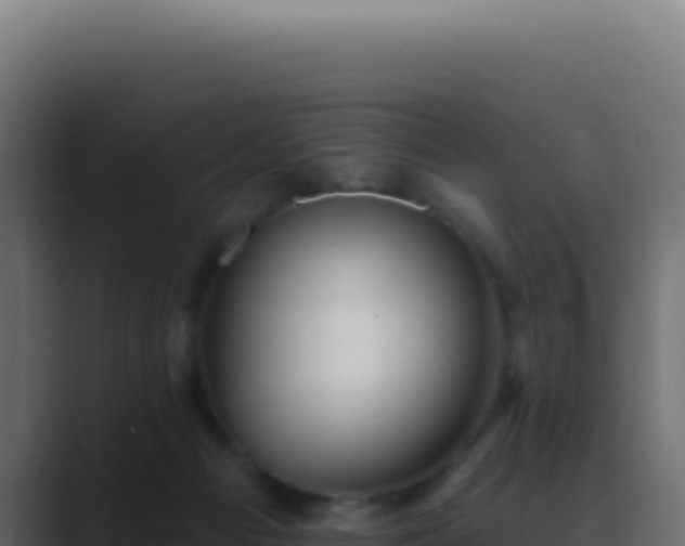 X0000089760121200706281651