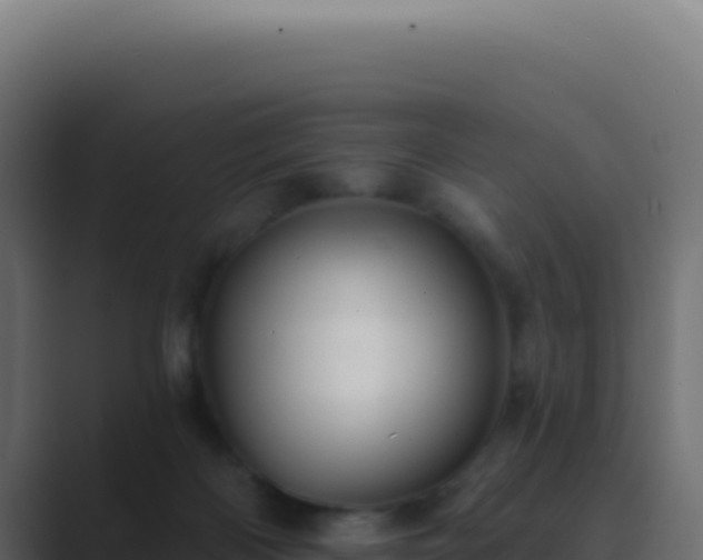 X0000089760122200706281651