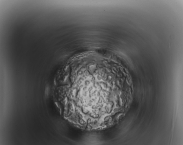 X0000089760123200706281651