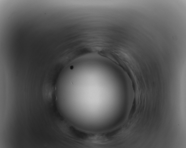 X0000089760125200706281651