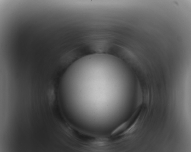 X0000089760128200706281651