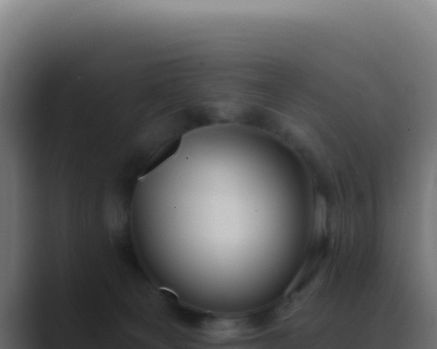 X0000089760129200706281650