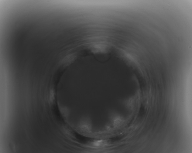 X0000089760130200706281650