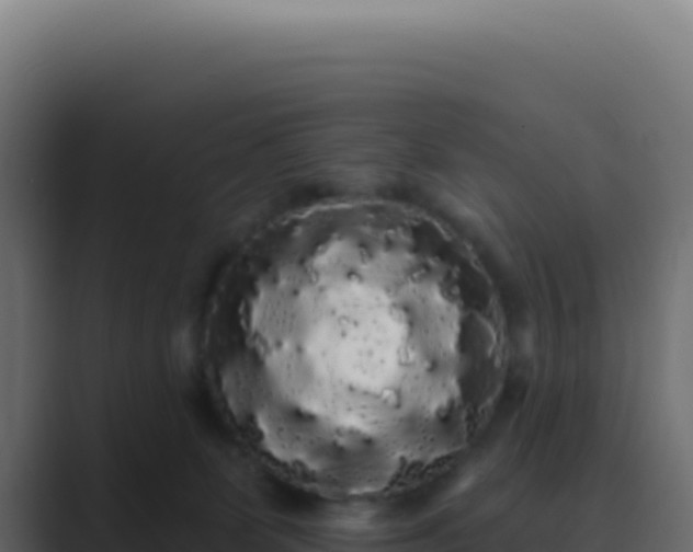 X0000089760131200706281650