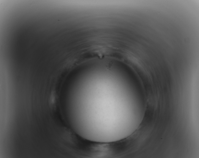 X0000089760132200706281650