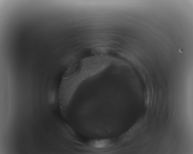 X0000089760134200706281650