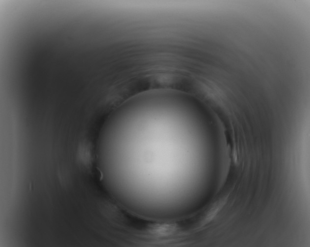 X0000089760135200706281650