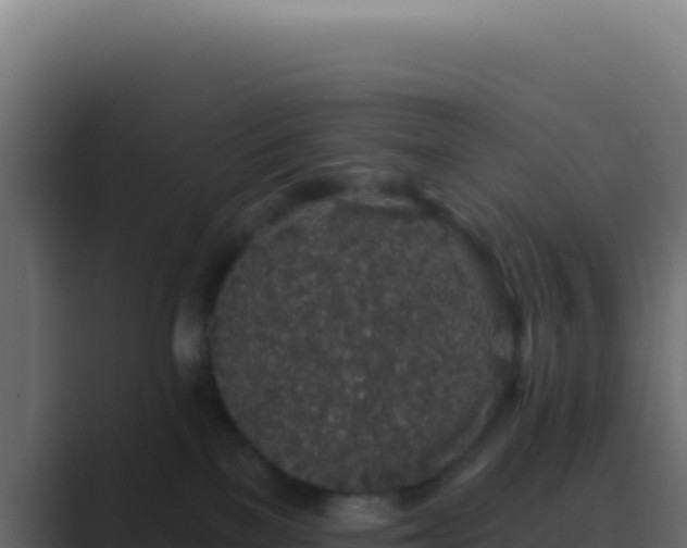 X0000089760137200706281650