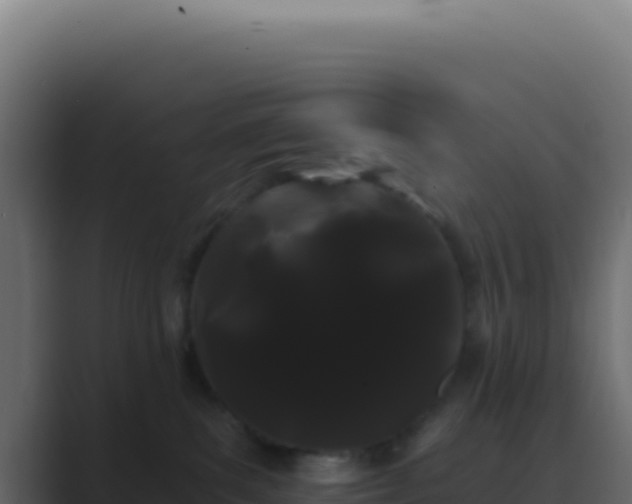 X0000089760139200706281650