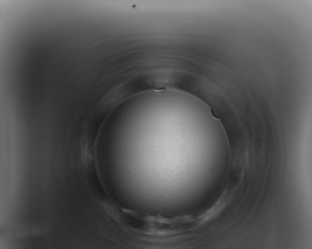 X0000089760140200706281650