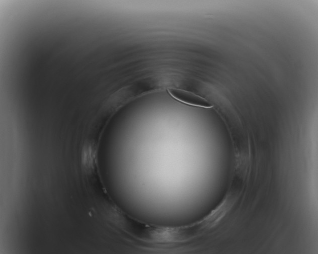 X0000089760142200706281650