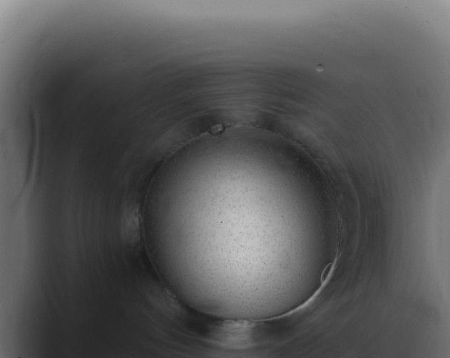 X0000089760144200706281650