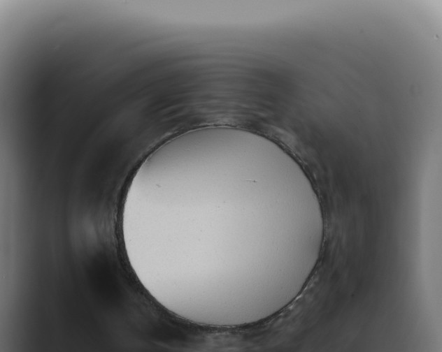 X0000089760146200706281650