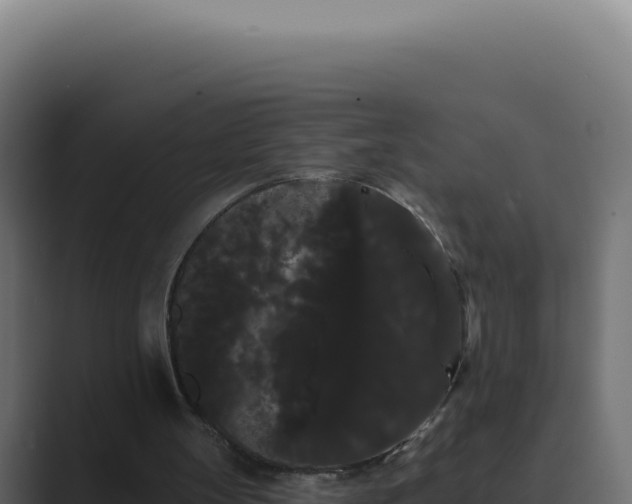 X0000089760147200706281650