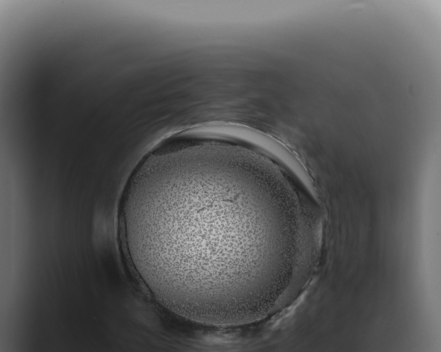 X0000089760148200706281650