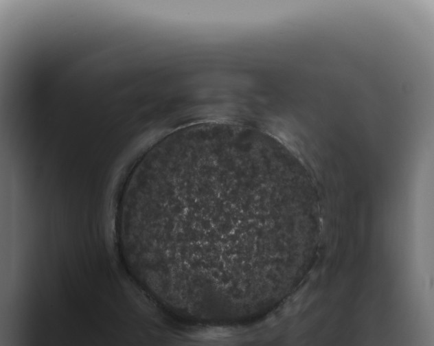 X0000089760149200706281650