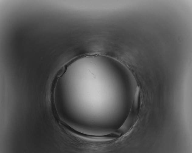 X0000089760150200706281650