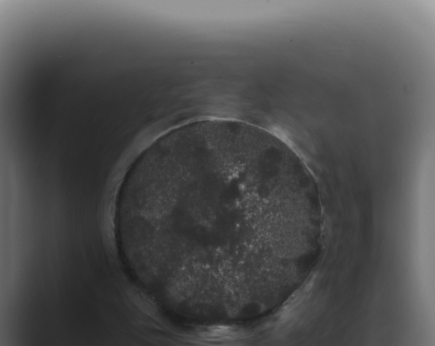 X0000089760151200706281650