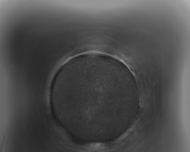 X0000089760152200706281650