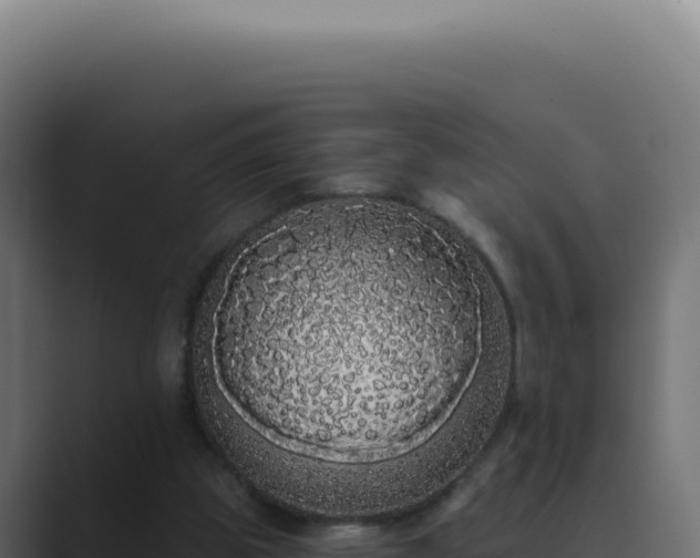 X0000089760153200706281650