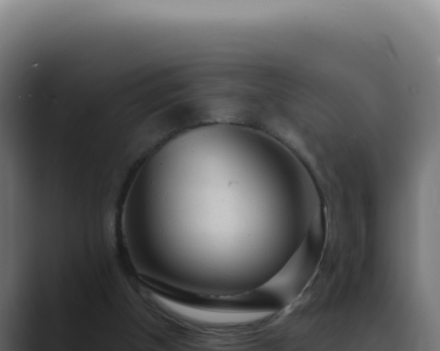 X0000089760154200706281650