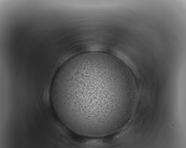 X0000089760155200706281650