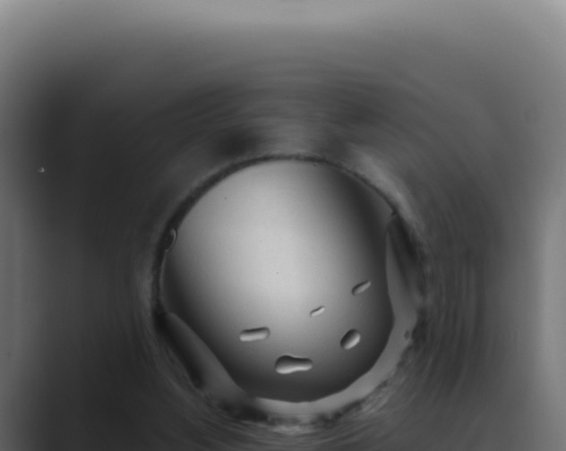 X0000089760156200706281650