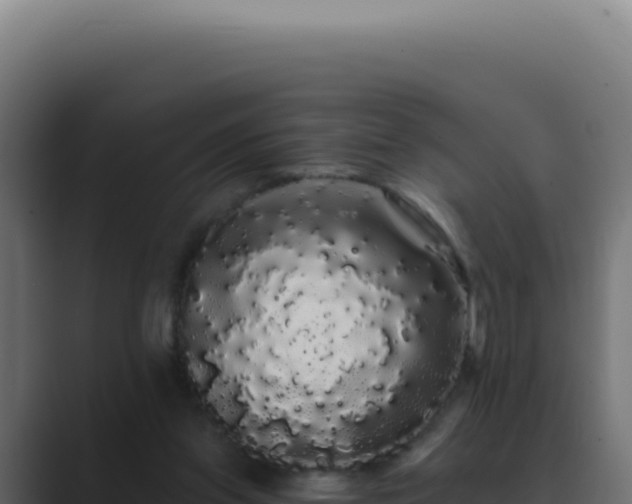 X0000089760157200706281650