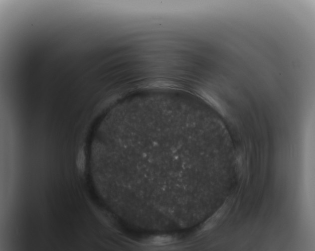 X0000089760158200706281650