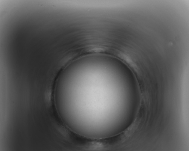 X0000089760159200706281650