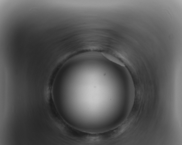 X0000089760160200706281650