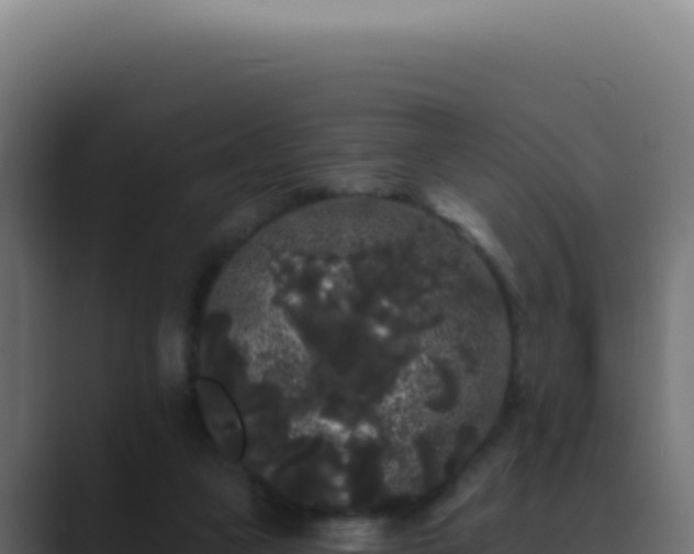 X0000089760161200706281650