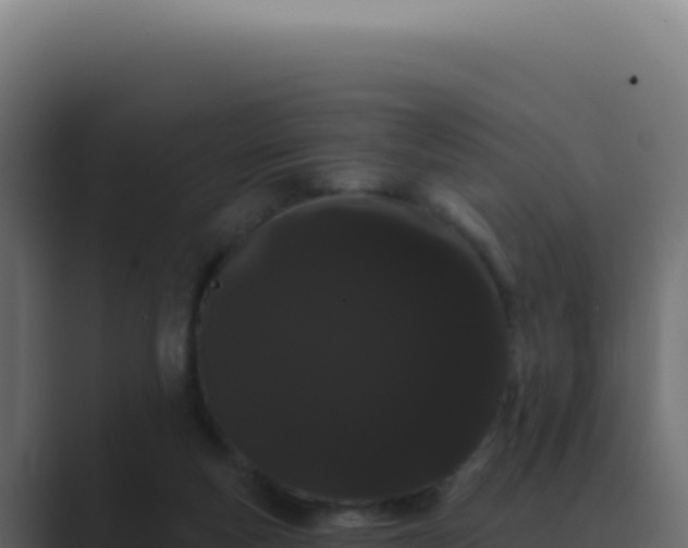 X0000089760163200706281650