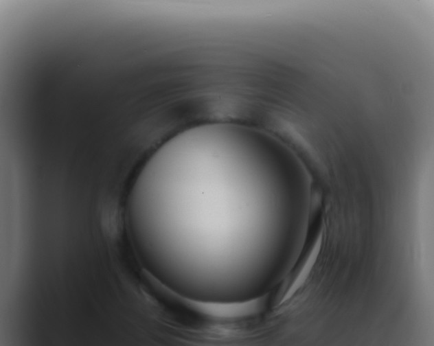 X0000089760164200706281650