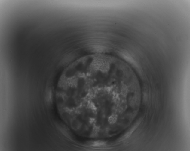 X0000089760165200706281650