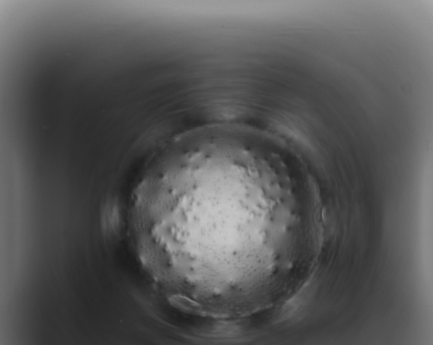 X0000089760166200706281650